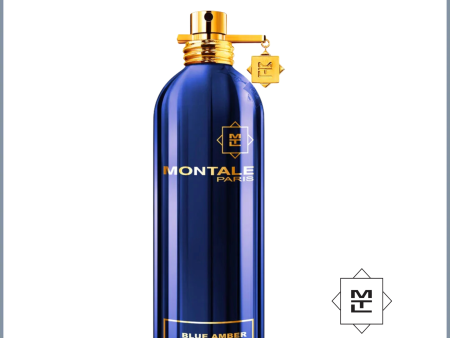 MONTALE Blue Amber EDP 100ml Perfume Online