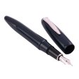 Platinum Izumo Iro Urushi Fountain Pen - Aitetsu Iro Supply